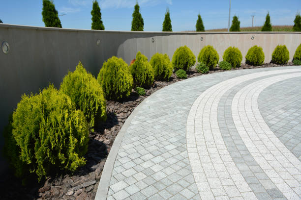 Best Driveway Paving Contractor  in Oakdale, PA